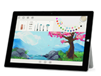 梁子湖Surface 无法开启、Windows 无法启动或电池无法充电